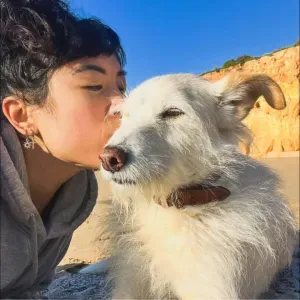 Emprego de petsitter em Portimão