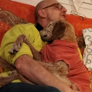 Cerco assistenza cane anziano