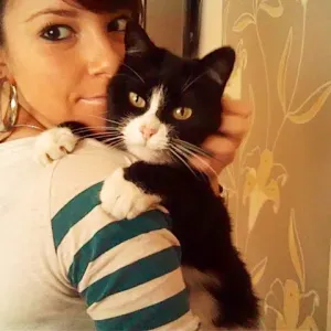 Garde de chats près Wambrechies