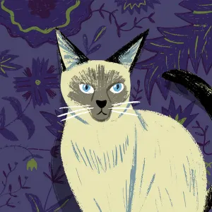 Pet située à Paris et alentours 
