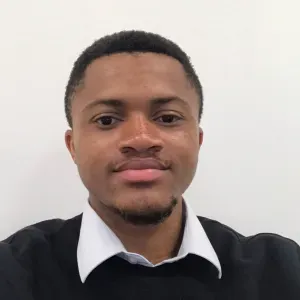 Baby-sitter sérieux et expérimenté (avec mes neveux) à Paris