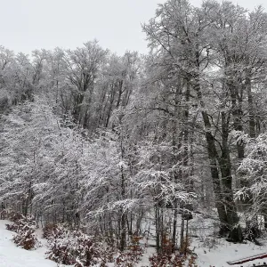 Lavoro per adetto alle pulizie a Roma