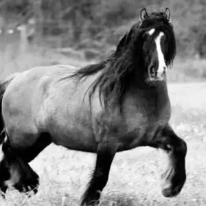 Jeune étudiante pour apprendre des matieres a votre enfant 