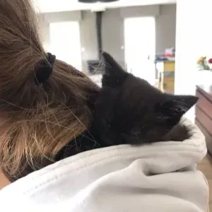 Pet-sitter sur Paris et alentours, très flexible!