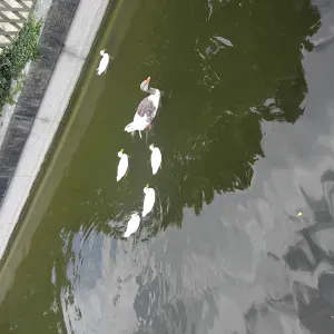 Aider à domicile a Paris ou bien à clichy 