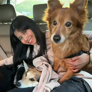 Pet sitting a Bologna e citta vicine