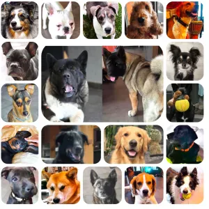 GARDE INDIVIDUELLE ET FAMILIALE COMME A LA MAISON 