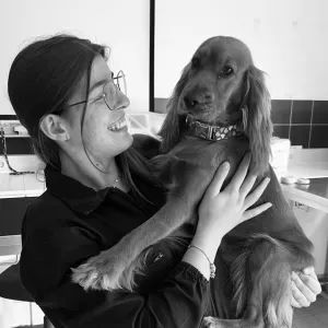 Pet sitting e passeios na Póvoa de Varzim