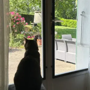 femme motivée pour faire du ménage !