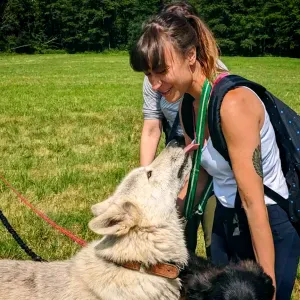 Pet - sitter a ambarès et Lagrave 
