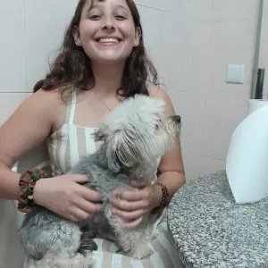 Pet sitting services in the Minho region!