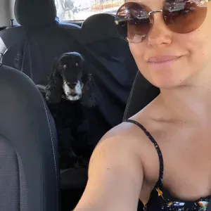 Pet sitter à Ajaccio . Disponible 