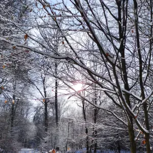 Je cherche un gouvernante 