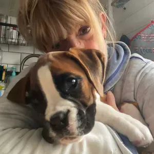 Pet Sitter castanet Tolosan et alentours clients et chats