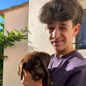 Baby-sitter/ garde d'animaux en belgique !