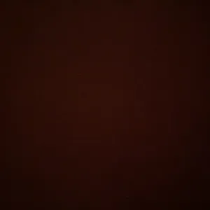 Aide aux devoirs et cours particuliers