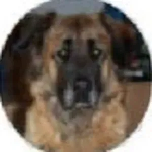 Prof particulier au nord de Charleroi