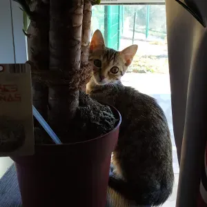 Recherche aide ménagère