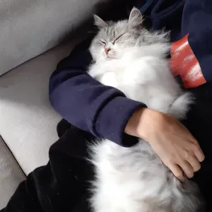 Pet-sitter du Nord Bassin d'Arcachon