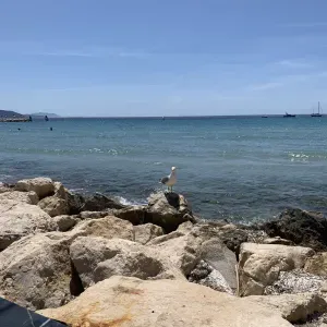 Femme de ménage agréable et de confiance