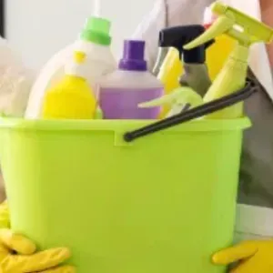 Femme de ménage sérieuse et efficace 