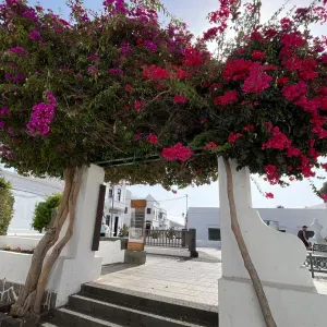 Chercher femme de menage