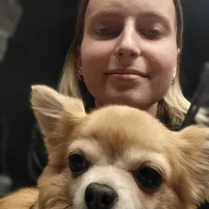 Careful care for pets in Vilnius