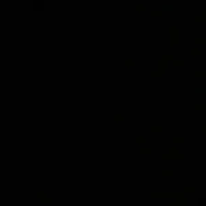 Pet-sitter à Toulouse et alentours 