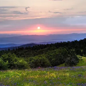 Assistante éducative petite enfance 