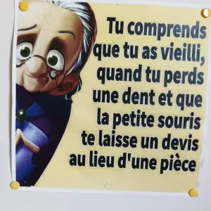Dame de compagnie, auxiliaire de vie, Drôme, Ardèche, Rhône 