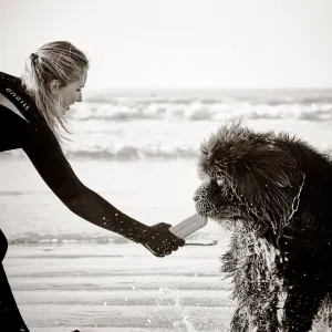 Garde & balades sur-mesure 🐶🐱🐴