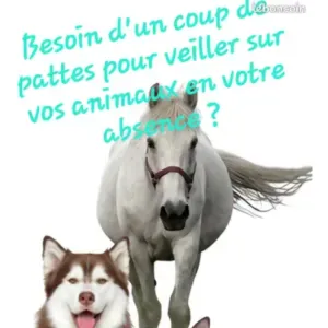 Pet sitting visites à domicile sur Fleurance et alentours