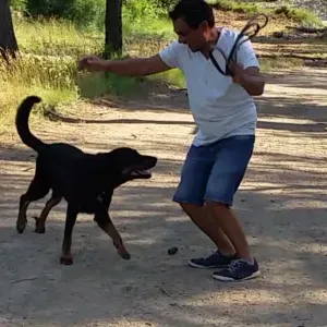 AU BONHEUR DES CHIENS  AVEC ANTOINE