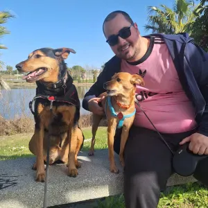 Pet Sitting em Castelo Branco!