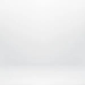 Femme de ménage sur 66430 Bompas