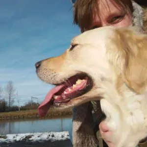 Accompagne vos séniors, disponible les nuits. 