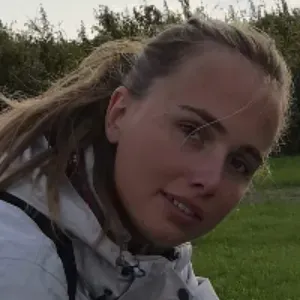 À la recherche de quelqu'un pour balader des chiens. 