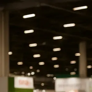 Master2 en Management Commercial et d'un DCL en anglais