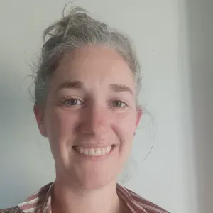 Femme de ménage sérieuse sur Ancenis. 