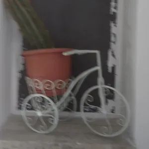 Servizio di pulizia periodico appartamento.