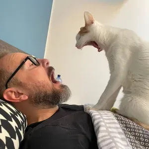 Lavoro come petsitter a Seregno