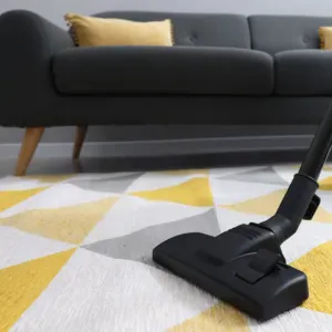 Femme de ménage  responsable a Rognac 