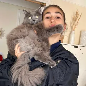 Pet-Sitter en banlieue parisienne