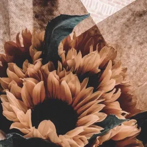 Femme de ménage paris 20 disponible 