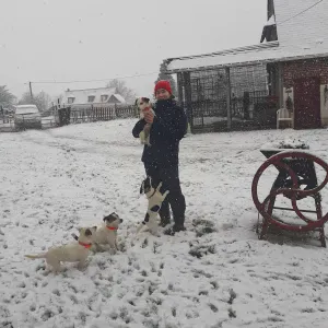 Pet-Sitter Val d'Oise/Paris (avec limite) 