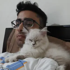 International student looking for a job 