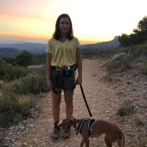 Spanish, Catalan, English or French