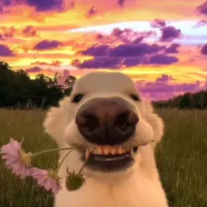 Bonjour je suis ju