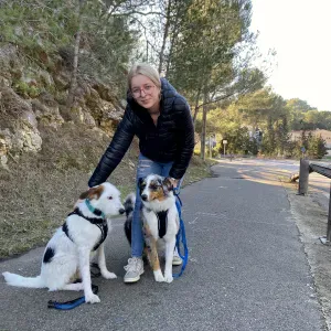 Dog sitter martigues la dog party