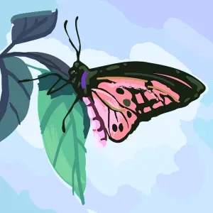 Femme de ménage sur Macouria en Guyane française 